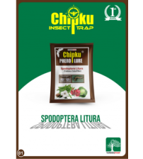 Chipku Spodoptera Litura Lure (Pack of 10)